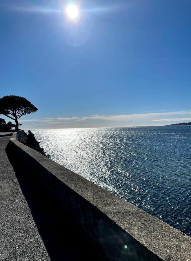 Appartement Sainte-Maxime, Plage De La Nartelle Dış mekan fotoğraf